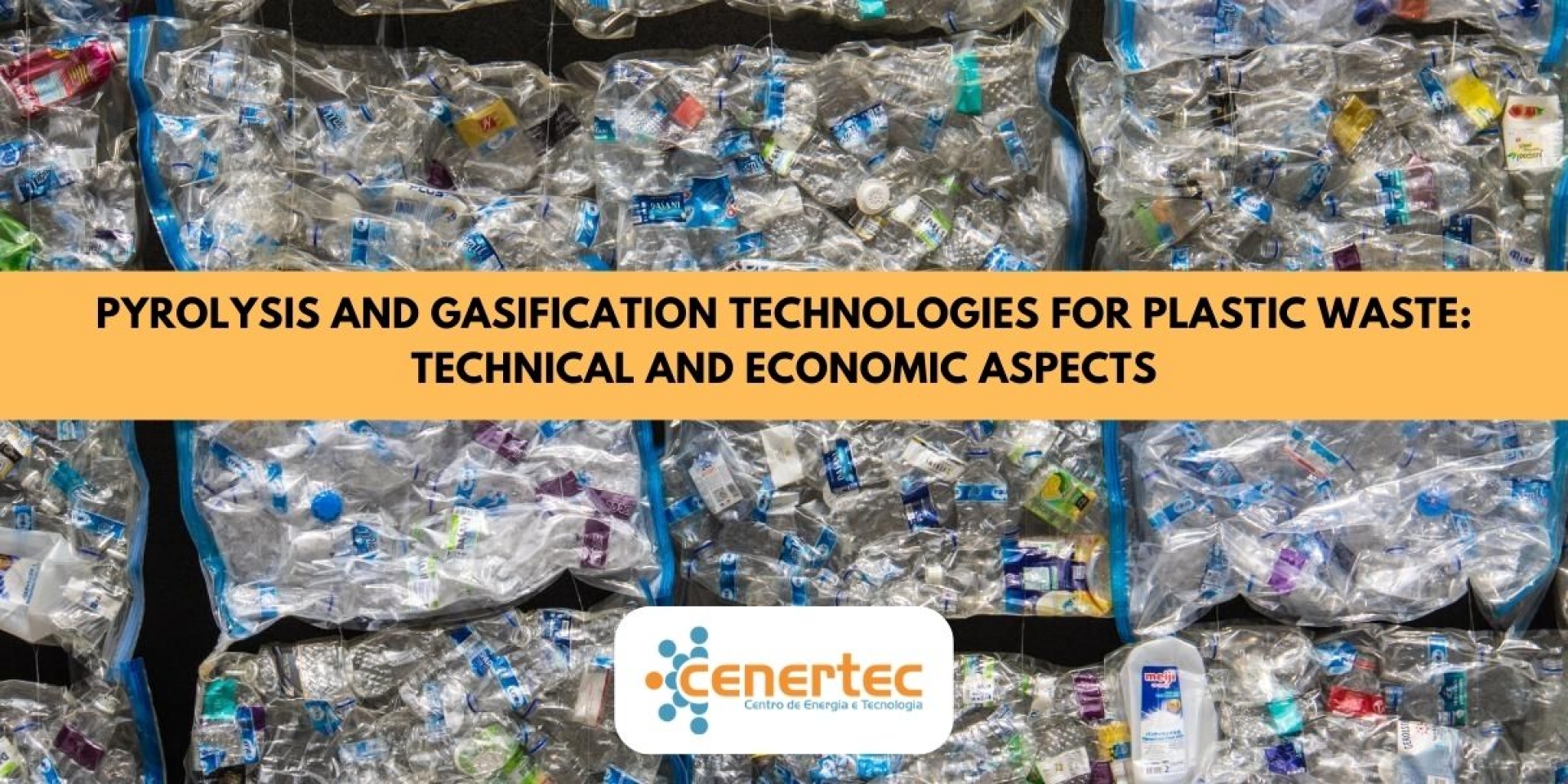 Pyrolysis and Gasification Technologies for Plastic Waste: Technical and Economic Aspects
