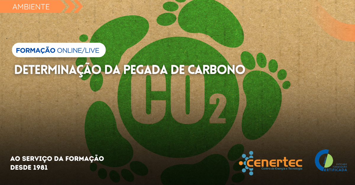 Determinação da Pegada de Carbono – Nível 1 Thumbnail