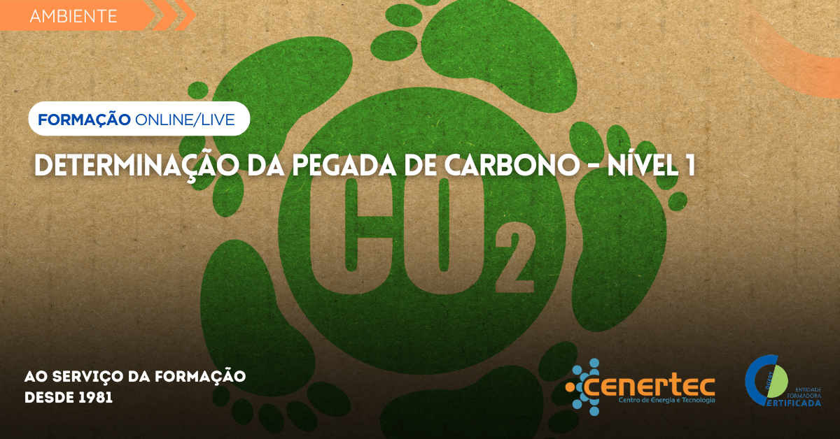 Determinação da Pegada de Carbono – Nível 1