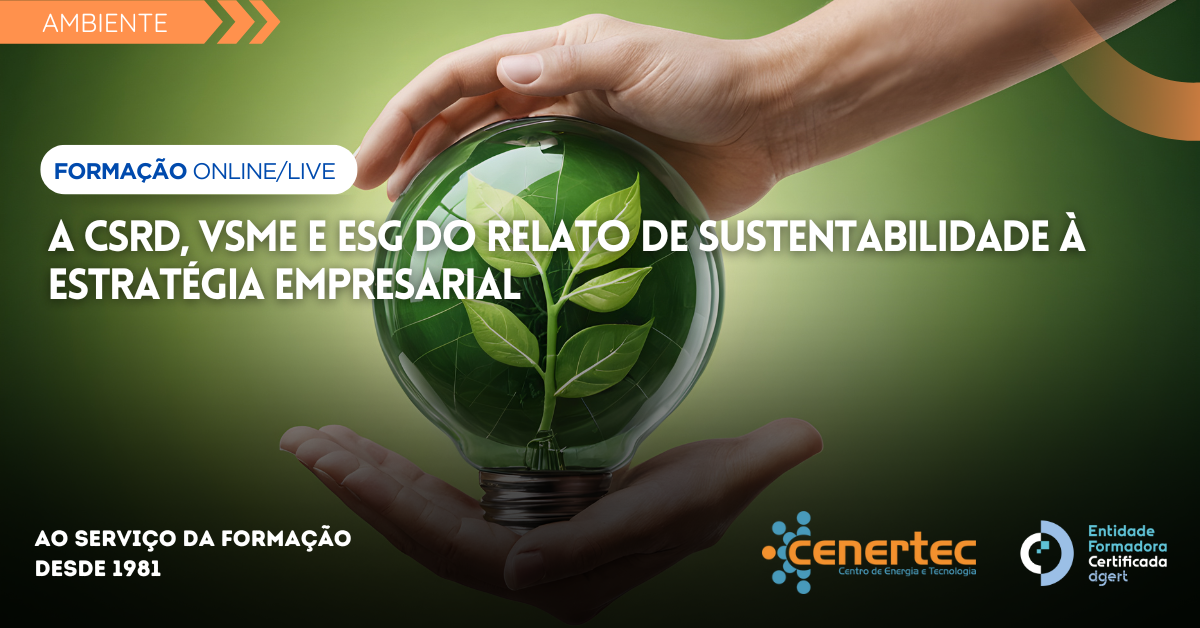 A CSRD, VSME e ESG do Relato de Sustentabilidade à Estratégia Empresarial
