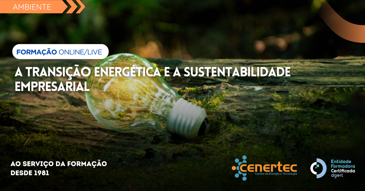 A Transição Energética e a Sustentabilidade Empresarial Thumbnail