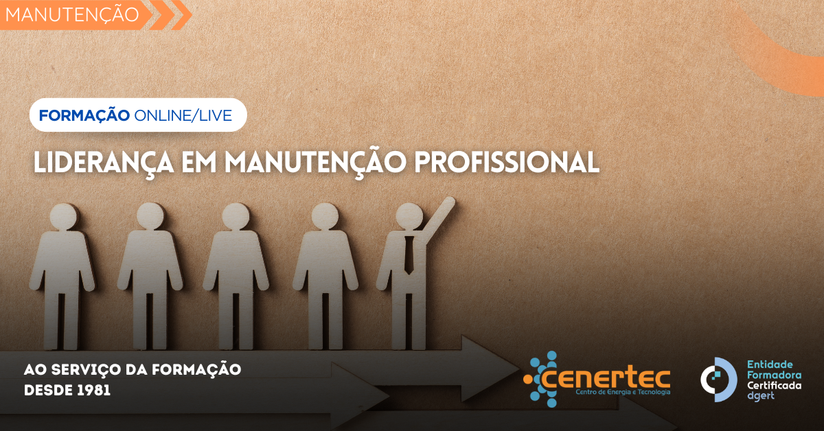 Liderança em Manutenção Profissional
